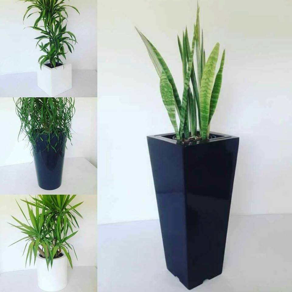 Fibre de verres