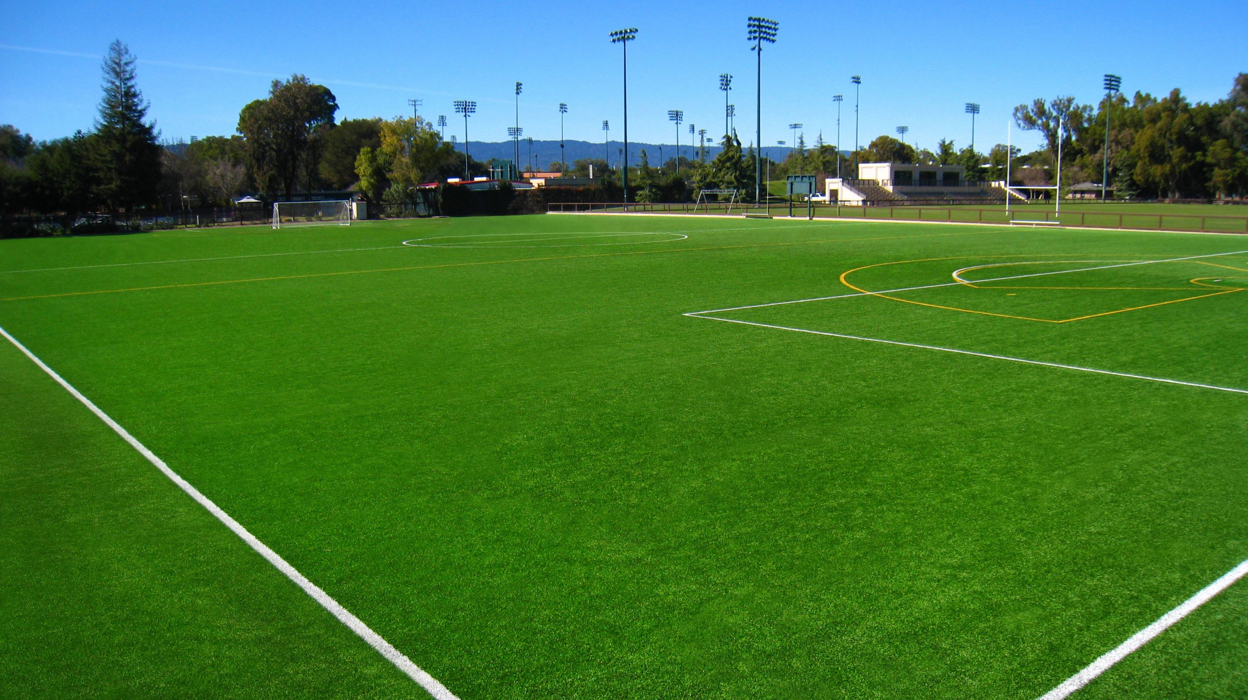 Omega Turf