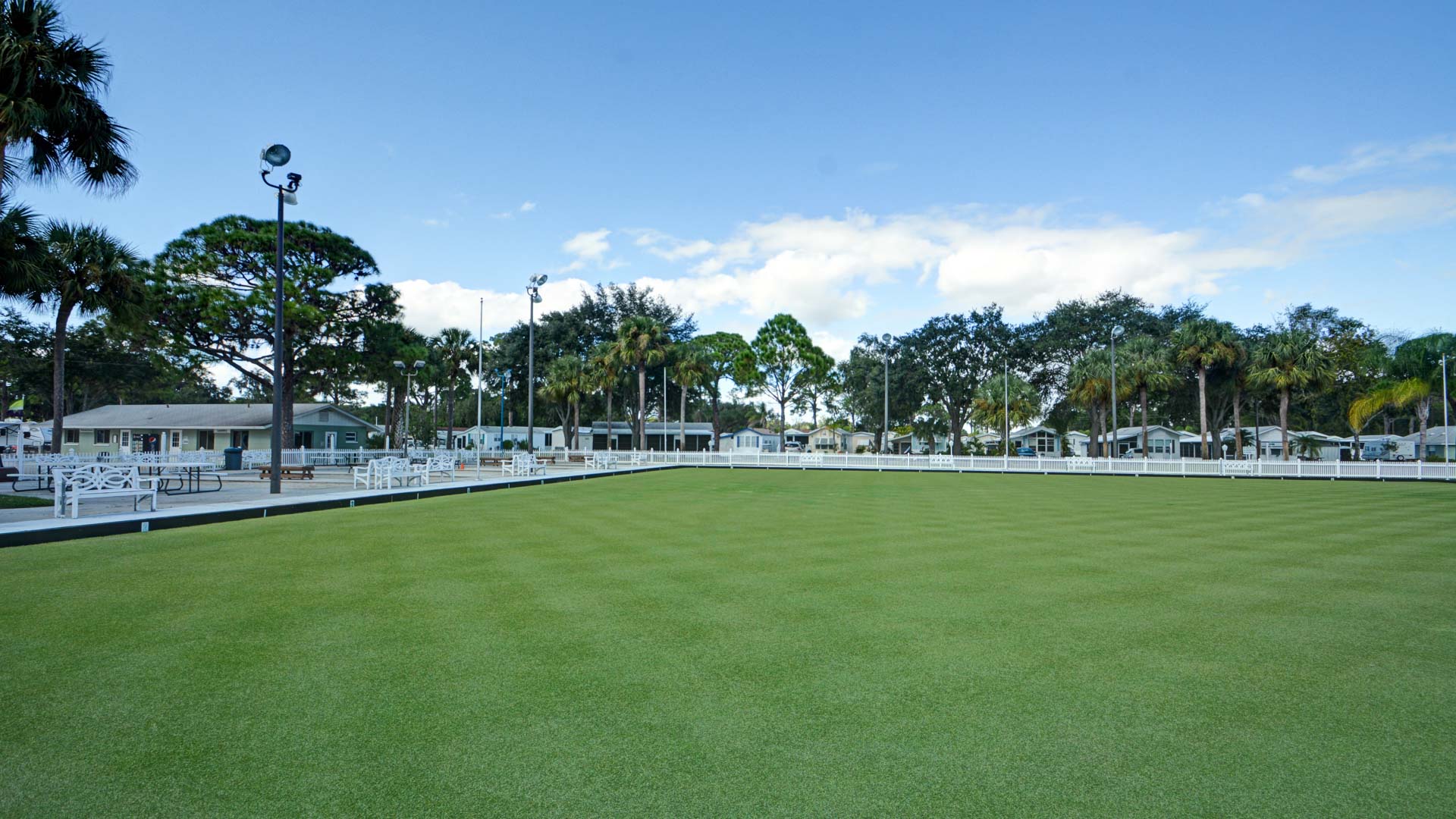 Spine Turf